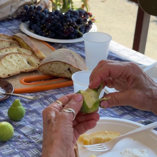 private etna food tour experience