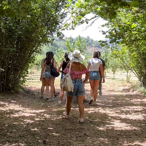 private etna food tour experience