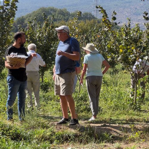sicily experiences with locals