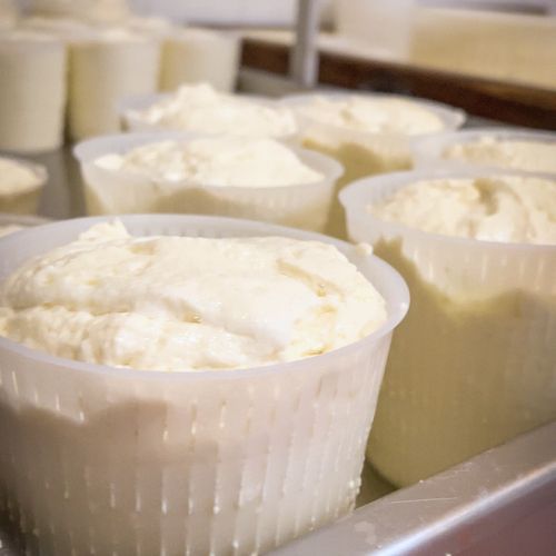 Visite d’une Fromagerie et Déjeuner à la Ferme