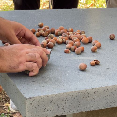 Degustazione prodotti tipici ai piedi dell'Etna