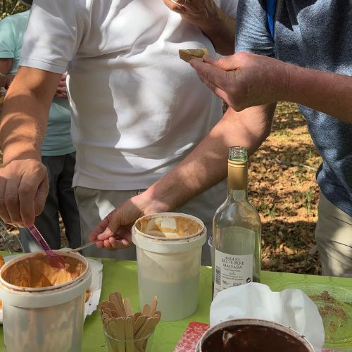 Expérience Gastronomique et Vinicole sur l’Etna