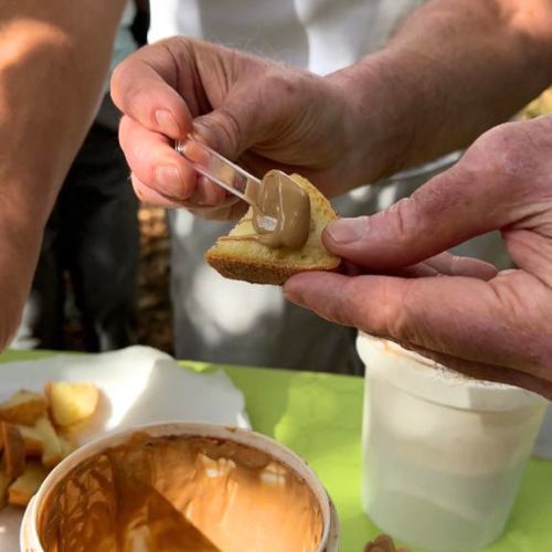 Expérience Gastronomique et Vinicole sur l’Etna