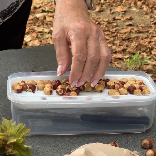 Expérience Gastronomique et Vinicole sur l’Etna