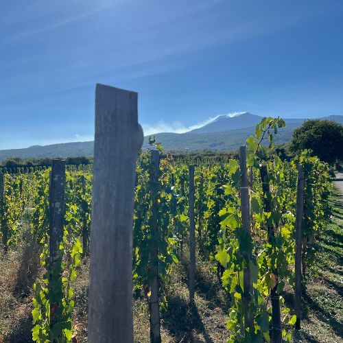 Degustazione prodotti tipici ai piedi dell'Etna