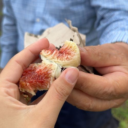 Sicilian food experience near Etna